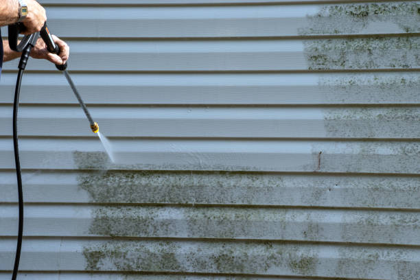 Kekoskee, WI Siding Installation & Repair Company