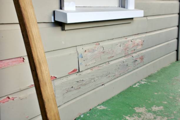 Affordable siding repair and maintenance services in Kekoskee, WI